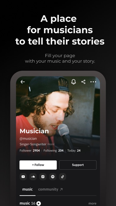 BUV - Hidden Music & Musicians Screenshot
