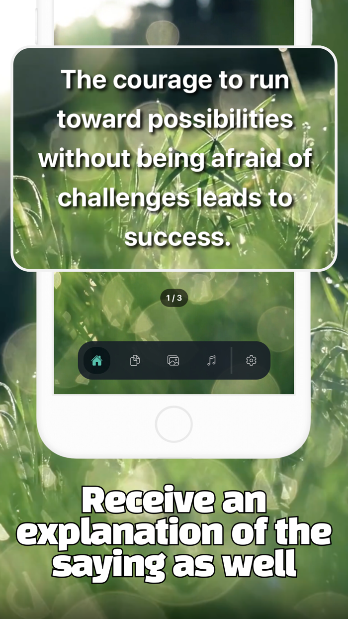 Garden of Wisdom - Wise Saying