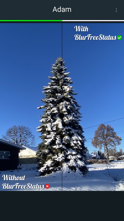 BlurFreeStatus
