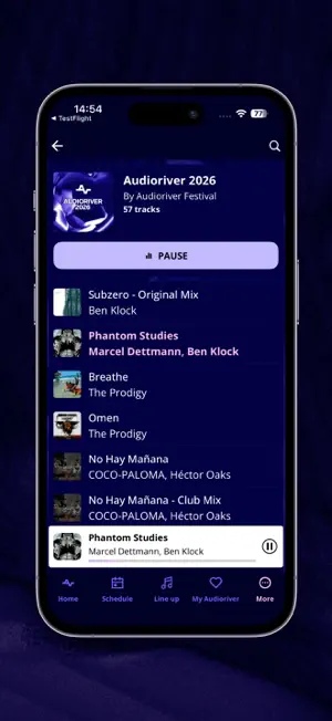 AUDIORIVER screenshot 4