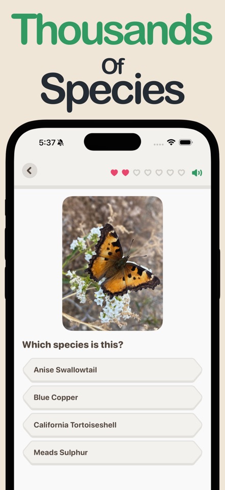 NearNature: Plant & Animal ID screenshot 2