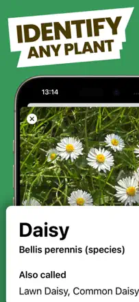 Free Plant Identifier : capture d’écran 1 sur 5