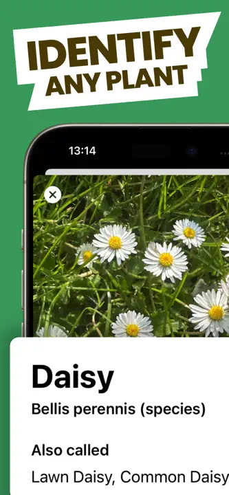 Free Plant Identifier: Screenshot 1 von 5