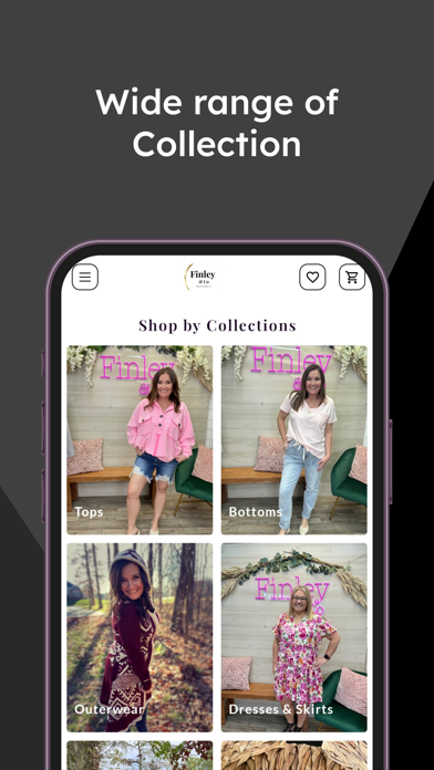 Finley & Co Screenshot