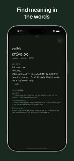 Rooted: Bible Reading & Study screenshot 4