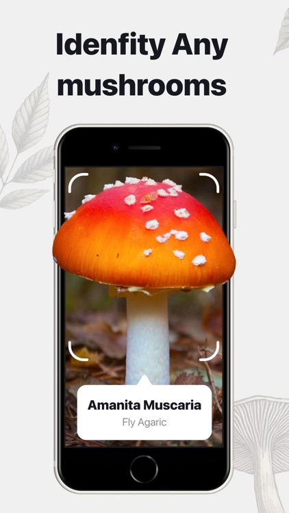 Mushroom Photo Identifier