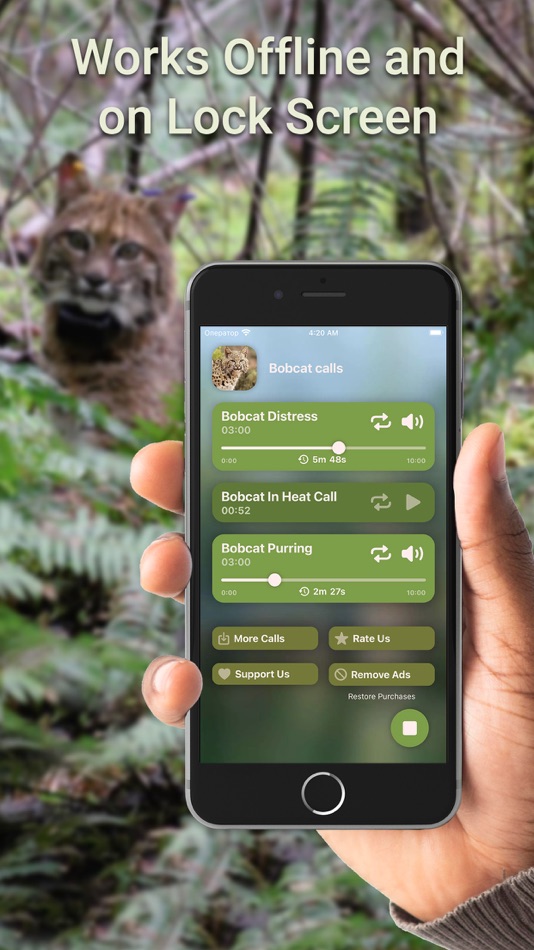 #3. Hunting Calls: Bobcat (iOS) 由: Sergii Nesterenko