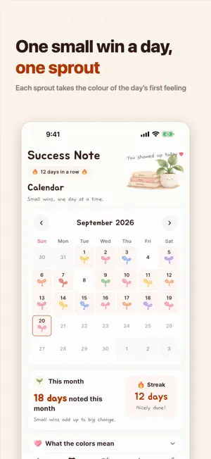 Success Note: Daily Wins Log screenshot 1