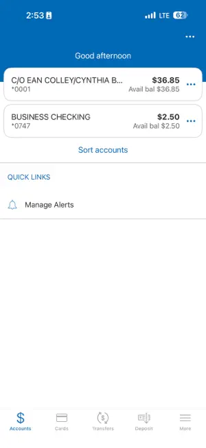 Financial Federal Personal screenshot 3