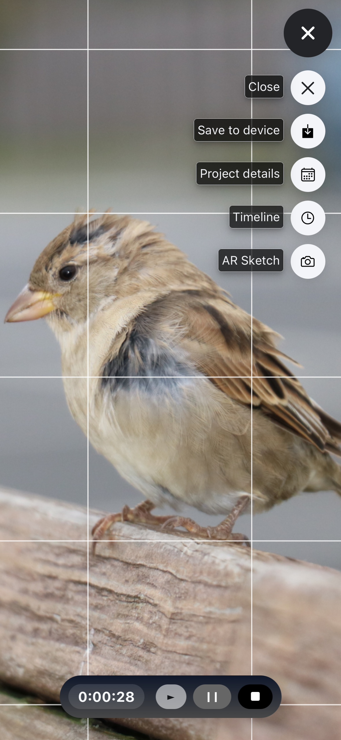 DrawinGrid screenshot 3