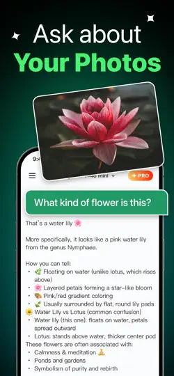 ChatNow AI:All-Round Assistant iPhone Ekran Görüntüsü 6