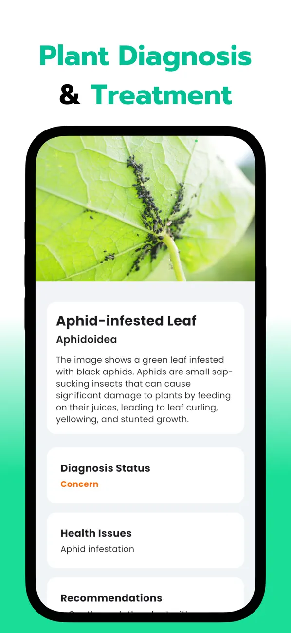 #4. Leaf Identification: Leafzy (iOS) De: Cristian Alan Canales Mota