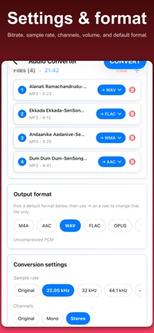 Audio Converter: MP3 AAC WAV iPhone screenshot