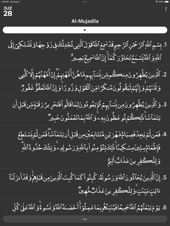 Juz28 iPad screenshot 6 - Reference app