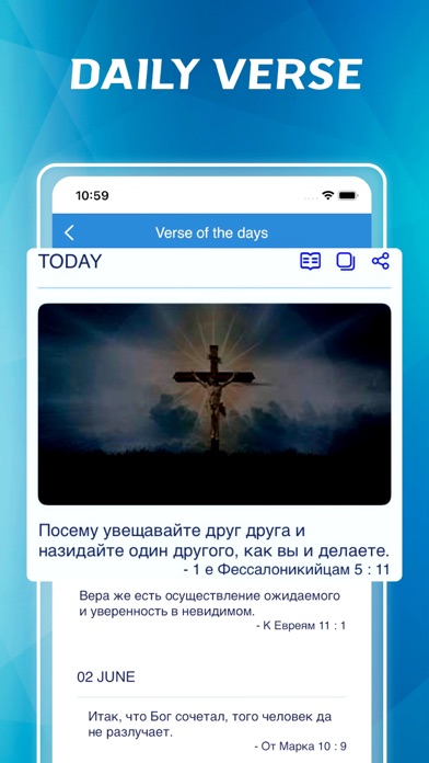 Russian Synodal Bible Screenshot