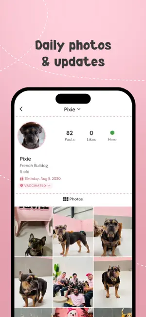 My Dogtel screenshot 3