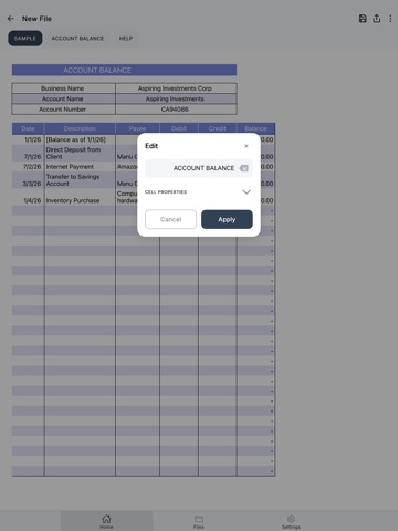 Account Statement iPad screenshot