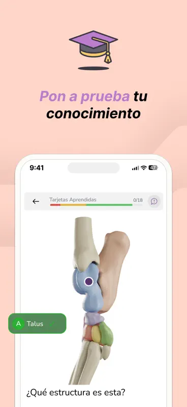 Vetflow - Aprende Anatomía screenshot 3 of 6