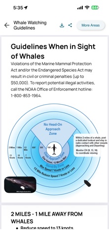 Whale Alert screenshot