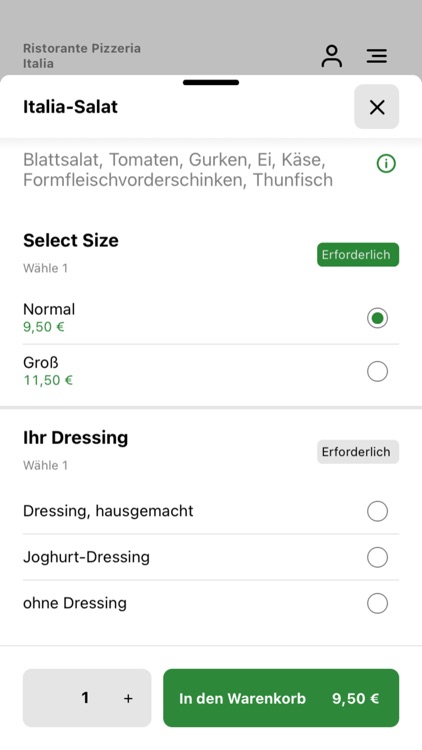 Ristorante Pizzeria Italia screenshot-3