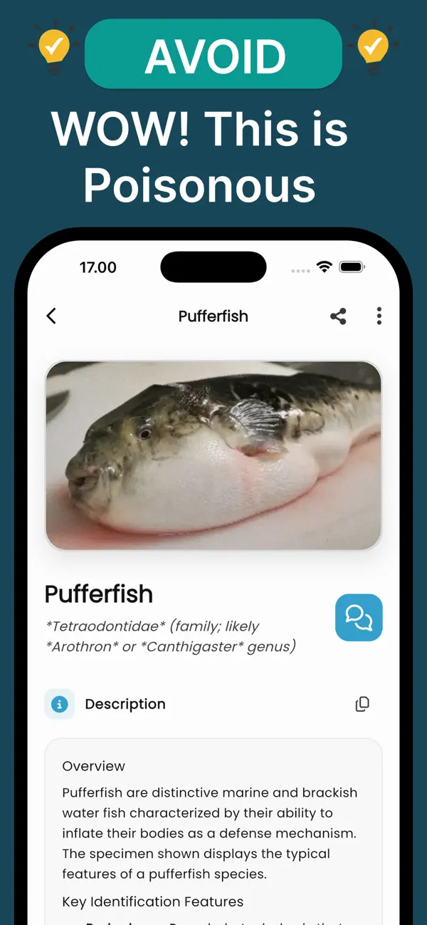 Screenshot #2 pour Fish Pic: Reconnaît IA