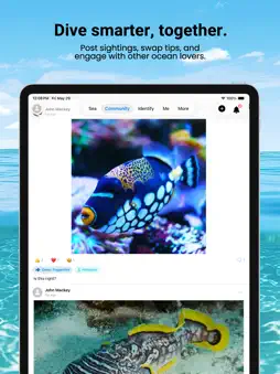 iSea Fish ID screenshot 7