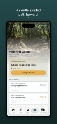 Allay: Tinnitus Relief screenshot