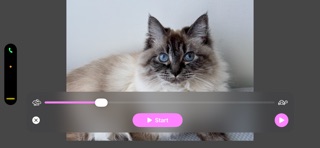 iPurr screenshot 5