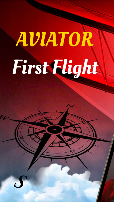 Aviator: First Flight Screenshot