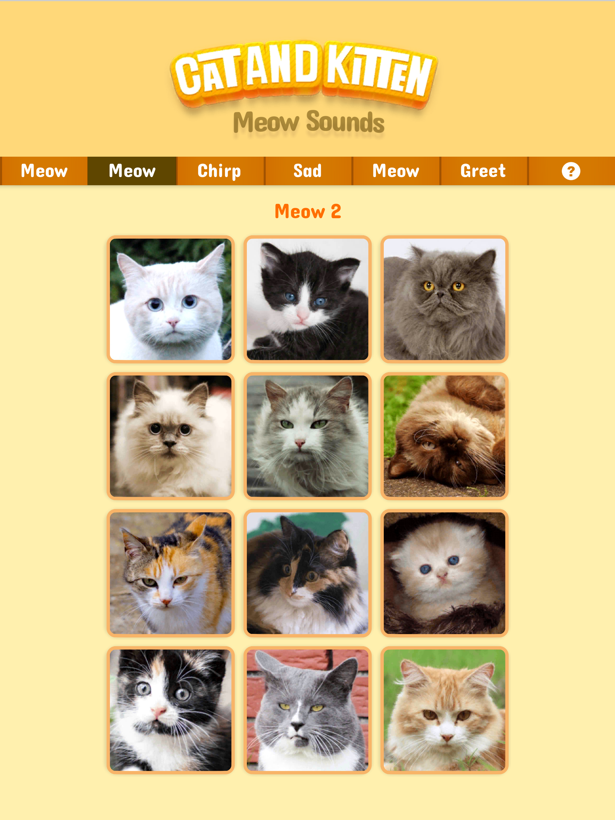 Cat & Kitten Meow Sounds