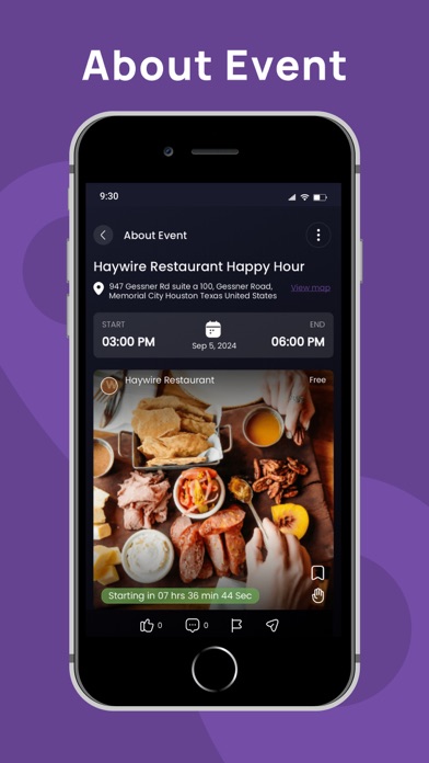 Laparizone Screenshot