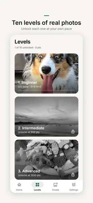 Snapzzle screenshot 2