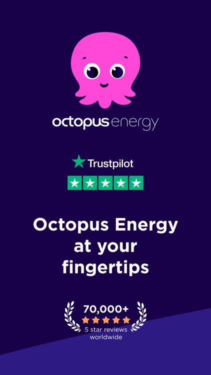 Octopus Energy