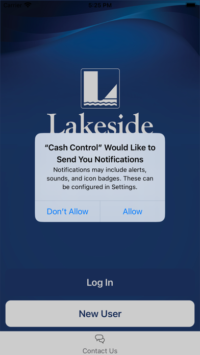 Lakeside Bank Cash Control Screenshot