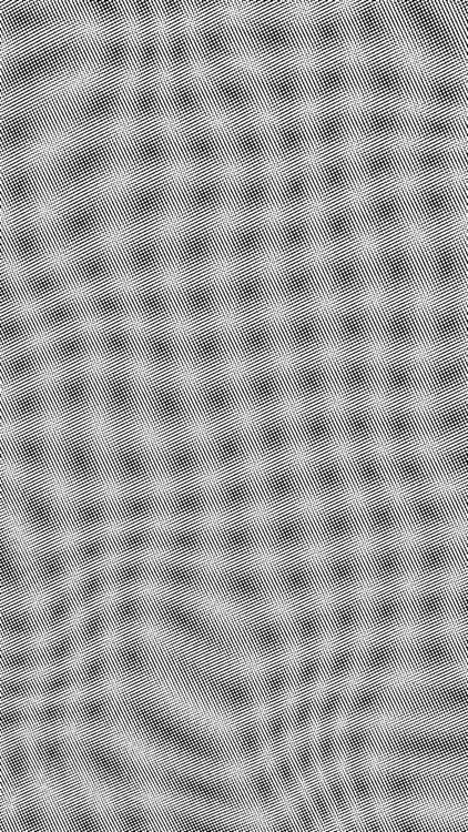 Moiré / Interference