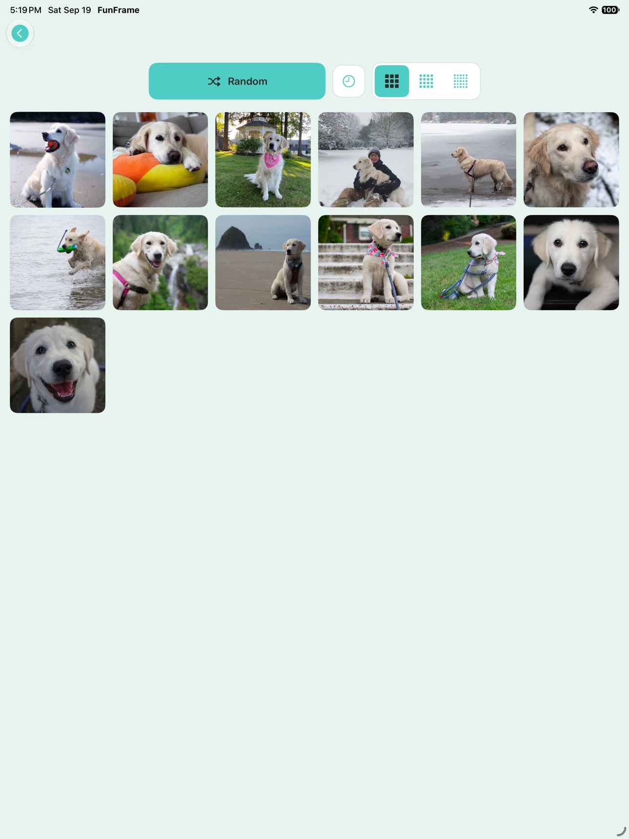 Screenshot 12 of FunFrame: Photo Games
