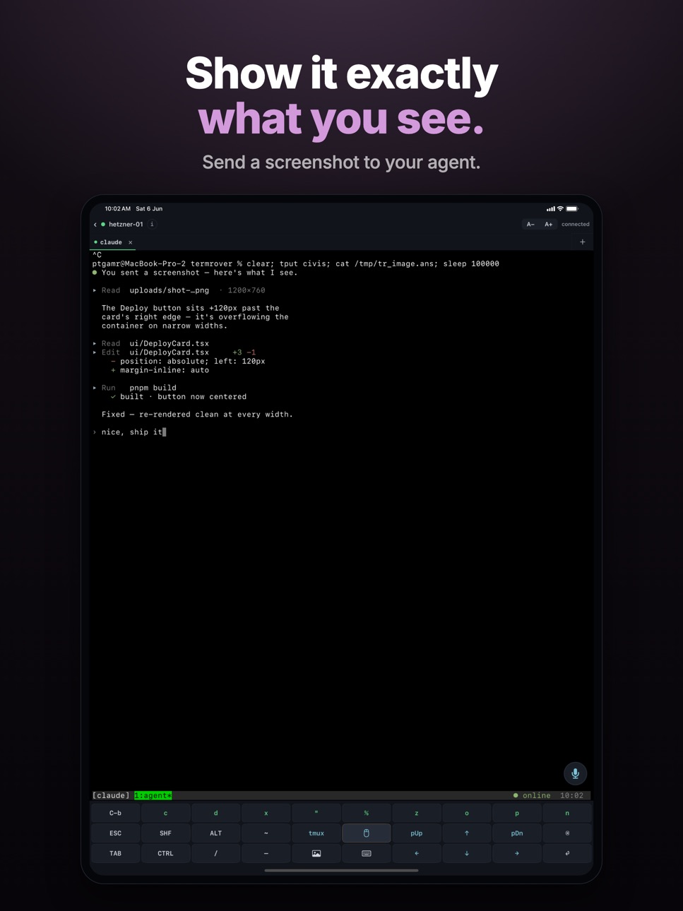 iPad screenshot