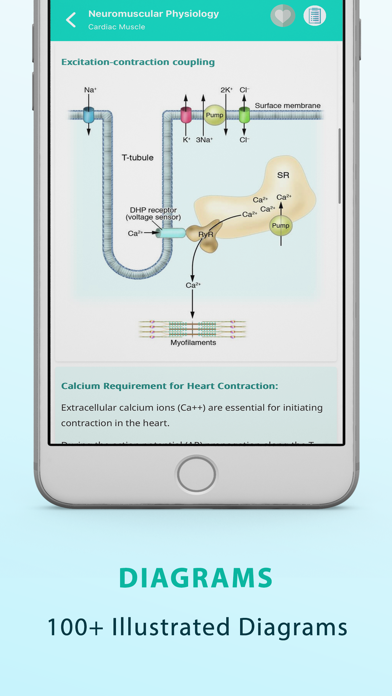 Concise Physiology - Notes Screenshot