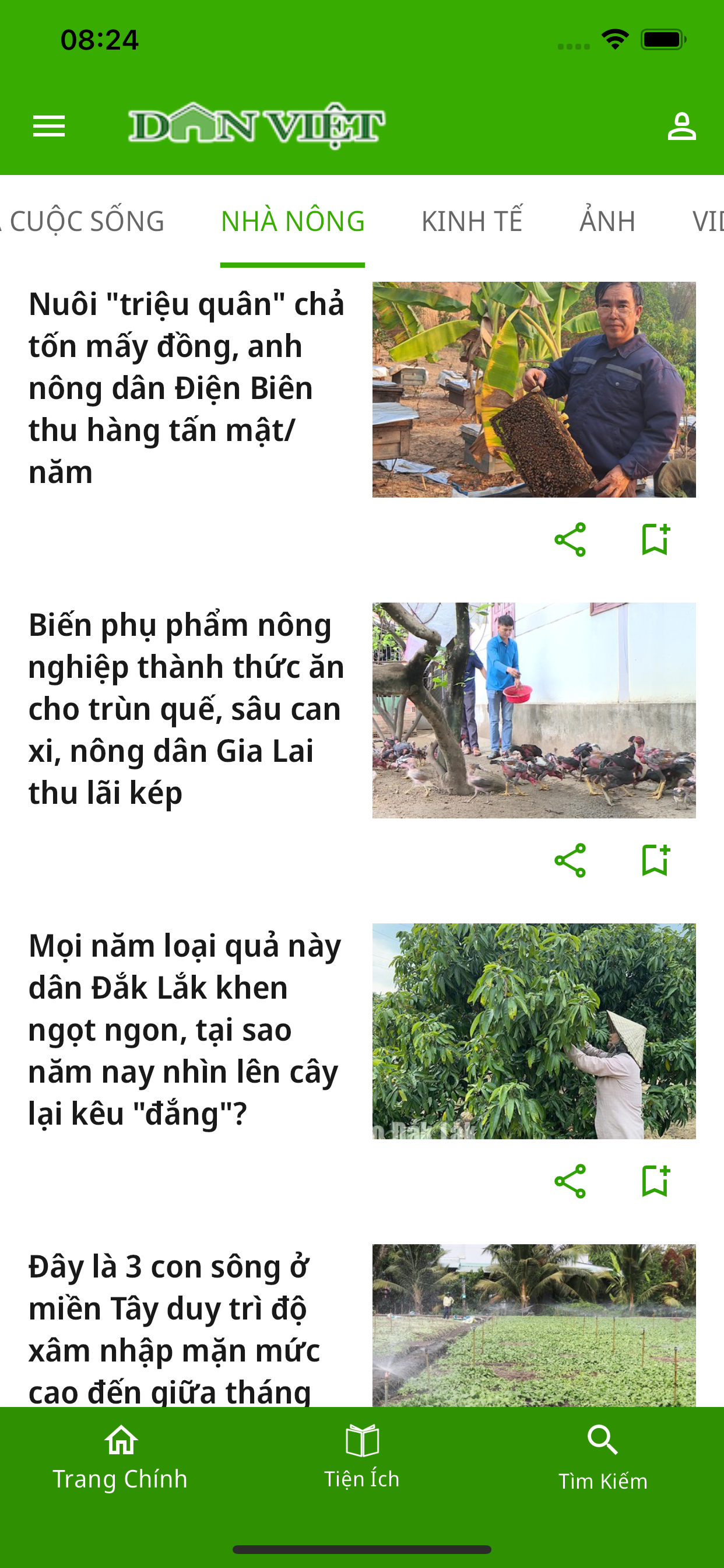 danviet.vn