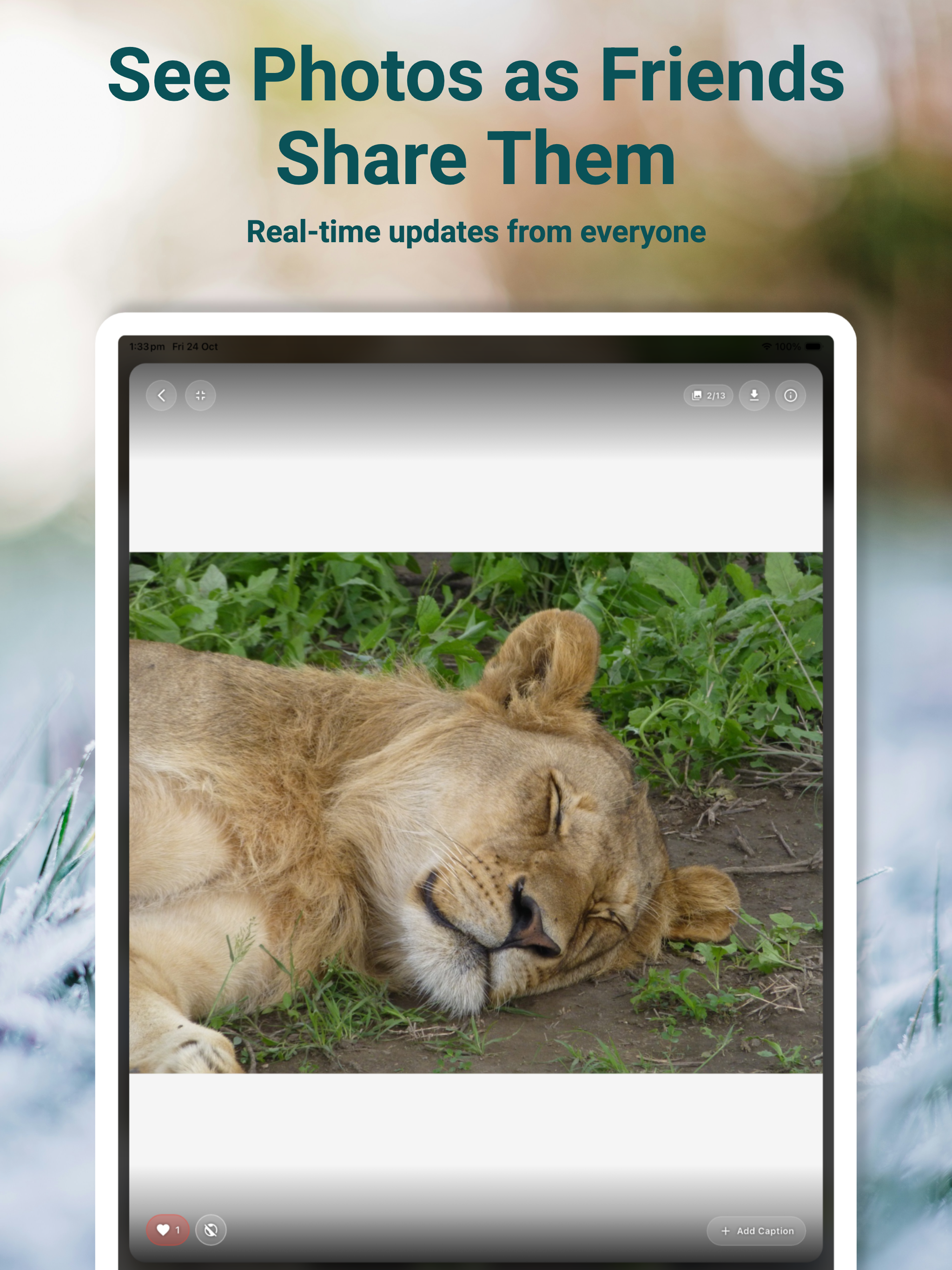 Image Blocx: Shared Albums screenshot 13
