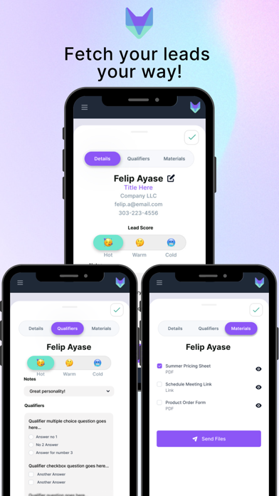 Fetch Leads Screenshot