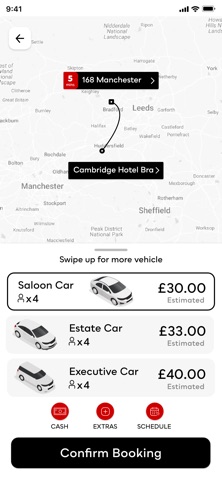 Bridge Taxis screenshot
