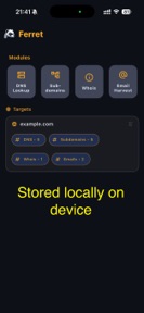 Ferret OSINT screenshot