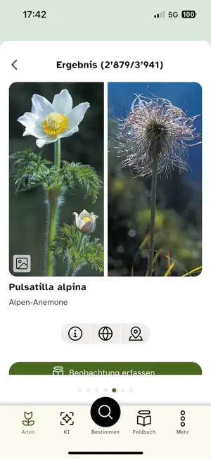 Flora Helvetica screenshot 2