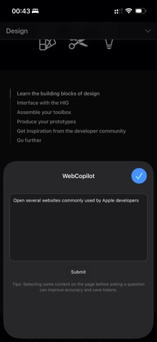 Web Copilot iPhone screenshot