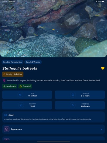Fish Scanner to Identify iPad screenshot