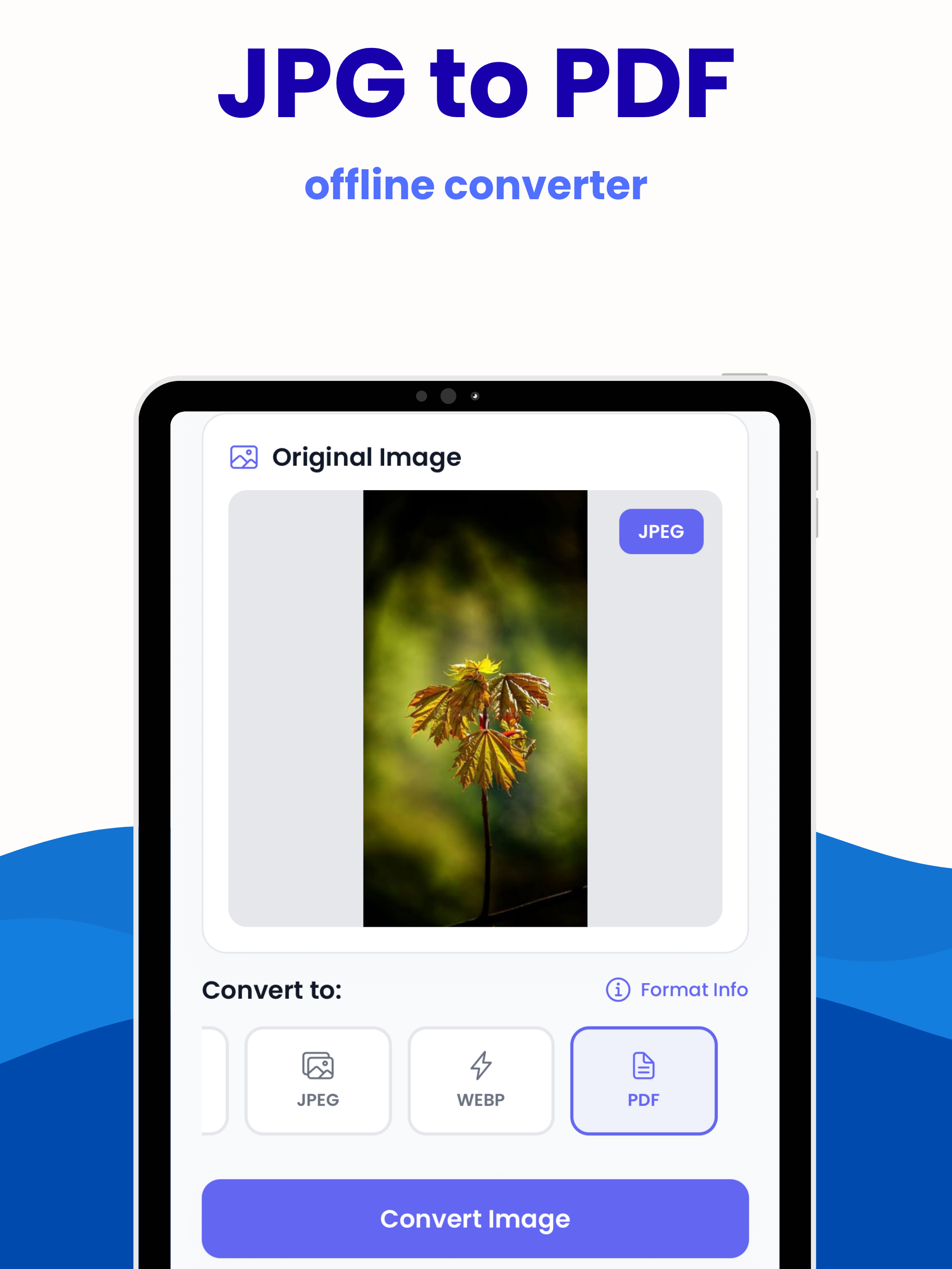 Photo Converter: HEIC to JPG screenshot 10