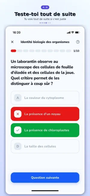 Valide School screenshot 4
