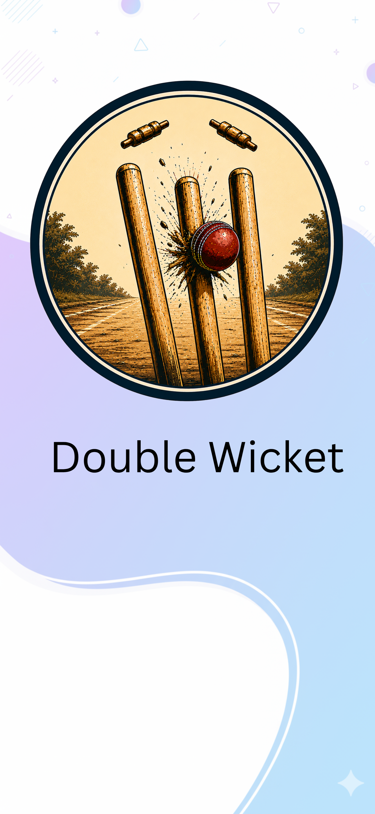 Double Wicket screenshot 6