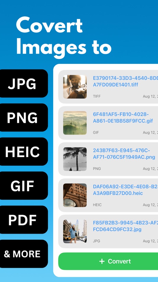 #1. Image Converter: HEIC to JGP (iOS) 게시자: Arda Sen